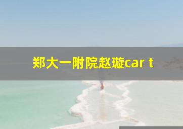 郑大一附院赵璇car t